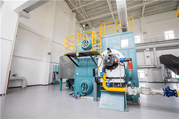 生物質(zhì)成型燃料鍋爐供熱