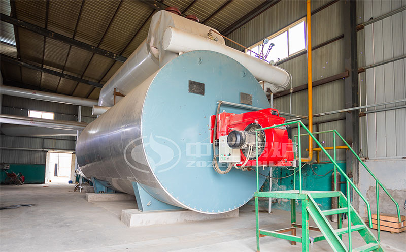 2噸蒸汽鍋爐的價(jià)格客戶案例圖片