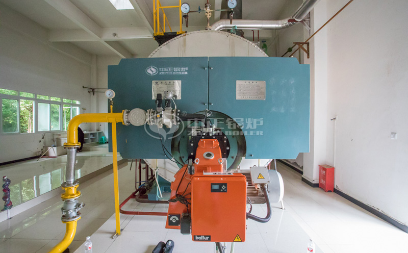 生物質(zhì)熱水鍋爐廠客戶案例圖片