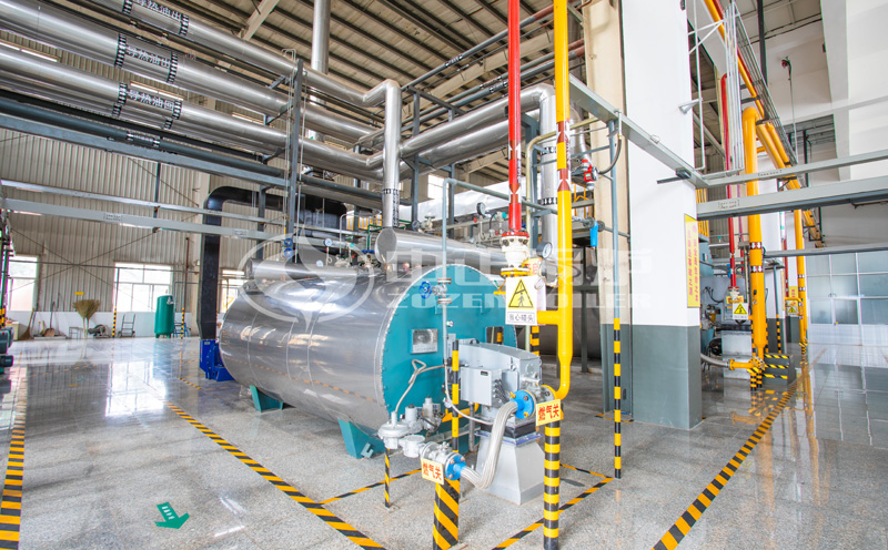 10t鍋爐客戶案例圖片