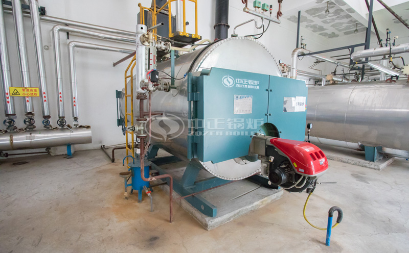 燃?xì)鈱?dǎo)熱油爐導(dǎo)熱油鍋爐客戶案例圖片