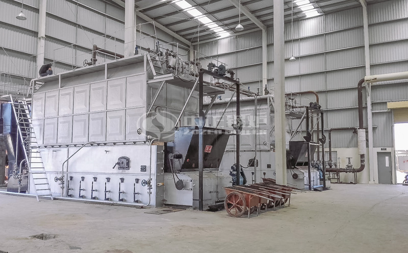 生物質(zhì)熱水鍋爐廠客戶案例圖片