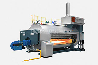 2噸燃?xì)庹羝仩t