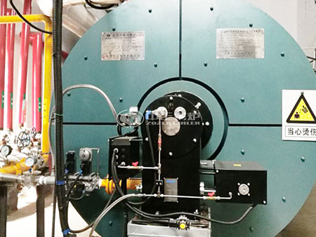 1噸燃?xì)庹羝仩t圖片