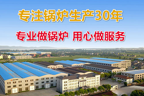 10噸燃?xì)庹羝仩t廠家