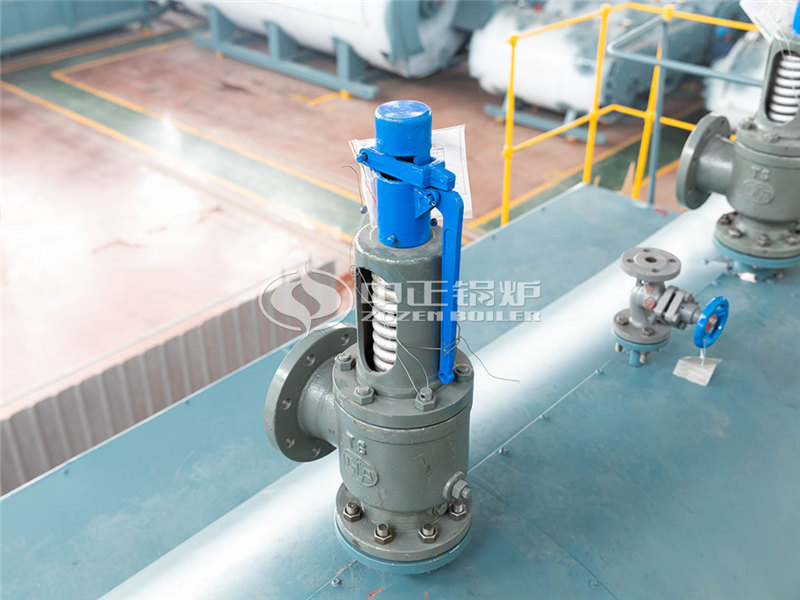 2噸燃?xì)庹羝仩t多少錢一臺