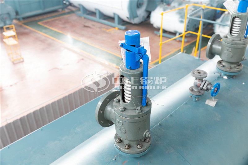 6噸燃?xì)庹羝仩t價格一般是多少