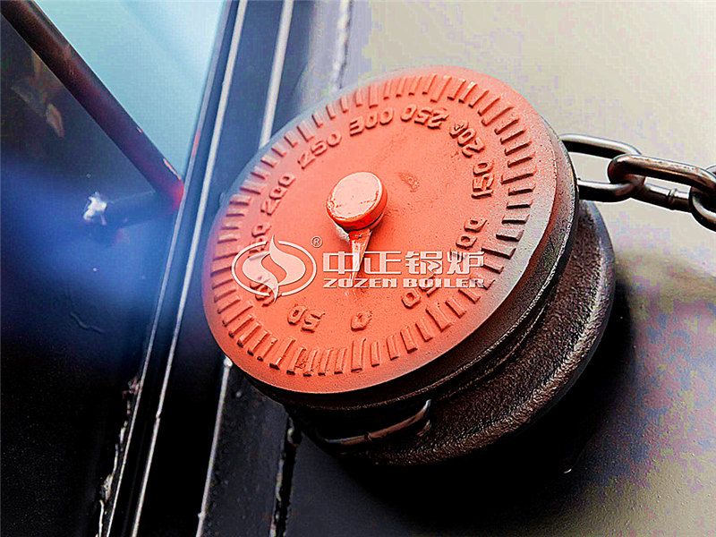 WNS燃?xì)庹羝仩t費用