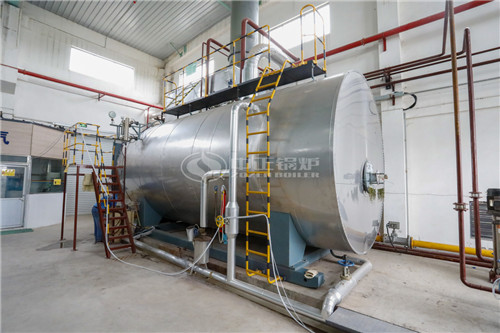 一臺(tái)30噸燃?xì)庹羝仩t貴嗎