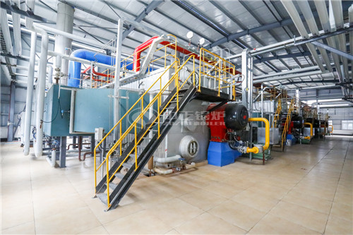 燃?xì)庹羝仩t廠家哪家專業(yè)